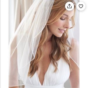 Cathedral wedding vail